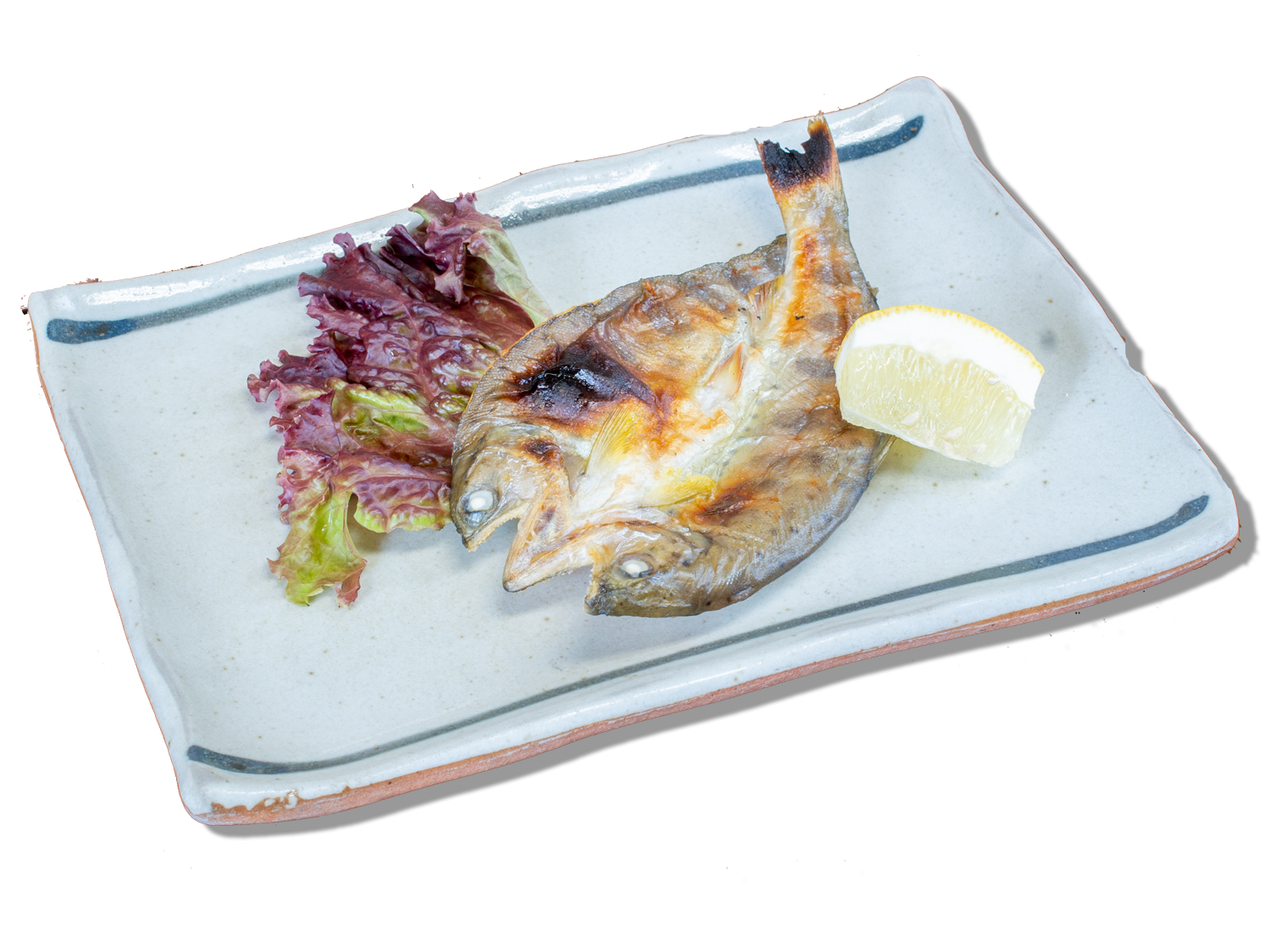 熊野のあまご開き